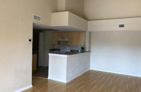 Coral Springs FL 33071