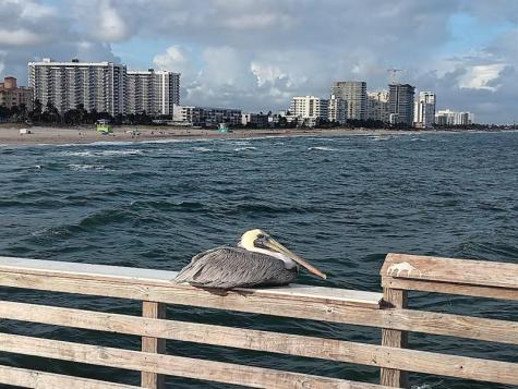 305 N Pompano Beach Boulevard Pompano Beach FL 33062