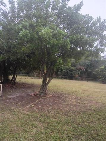 17345 NW 18th Avenue Miami Gardens FL 33056