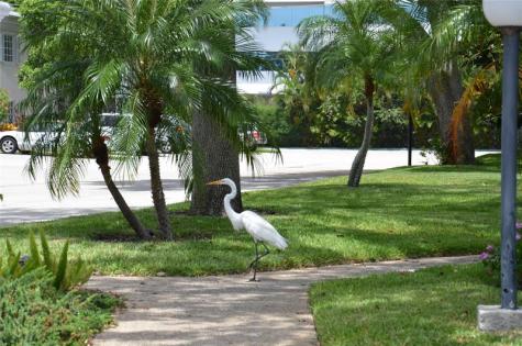 6247 Bay Club Drive Fort Lauderdale FL 33308