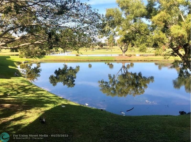 3993 Cypress Reach Court Pompano Beach FL 33069