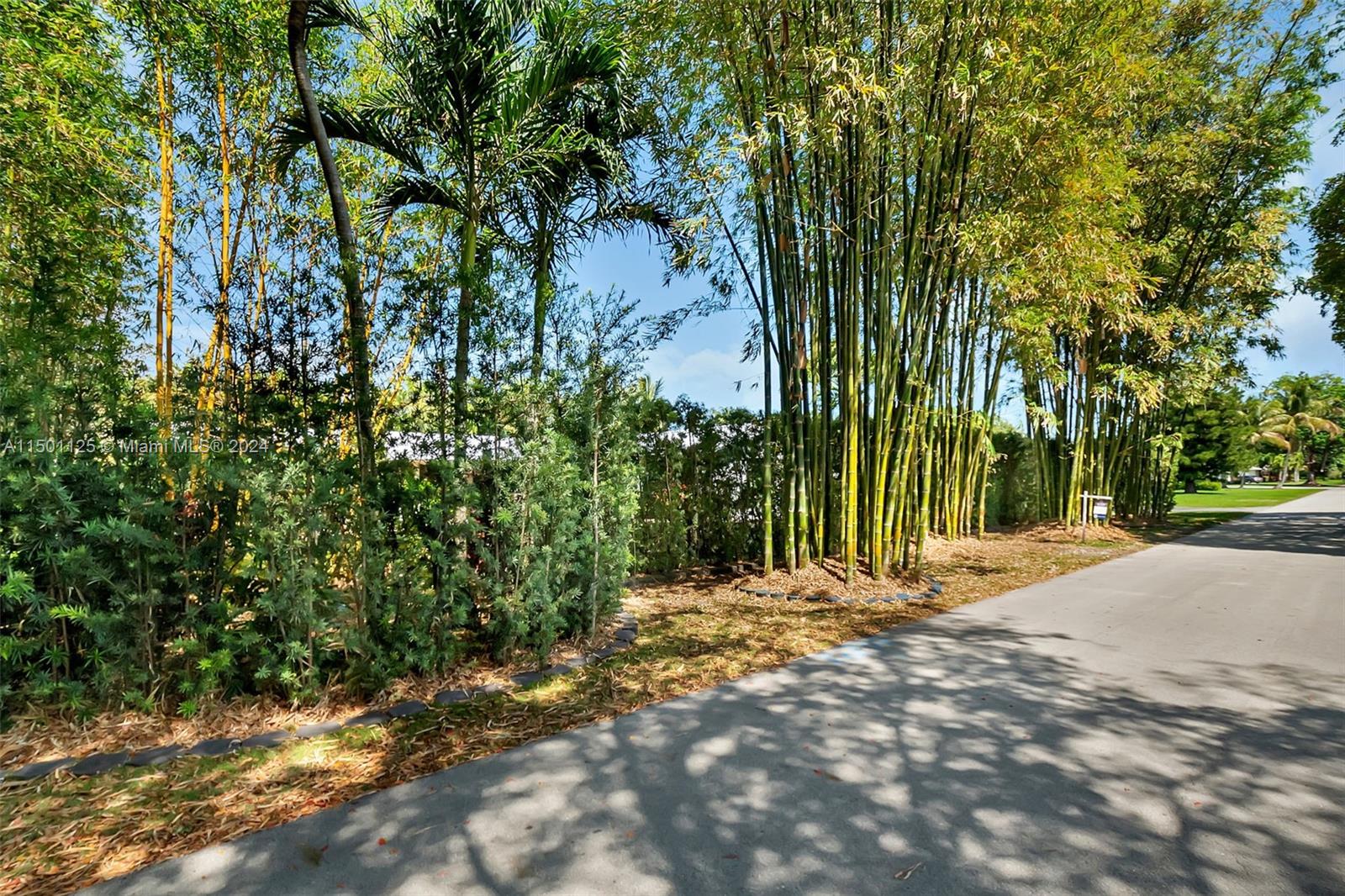 8845 SW 161st Street Palmetto Bay FL 33157