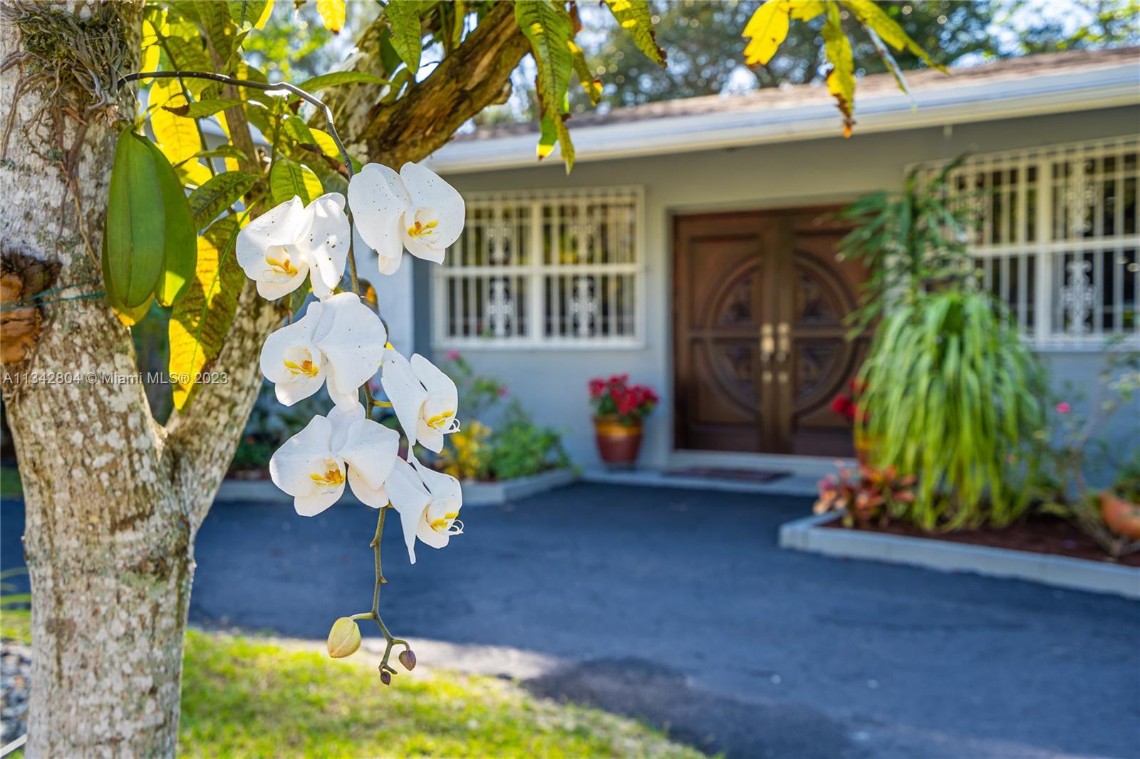 6904 SW 65th Avenue South Miami FL 33143