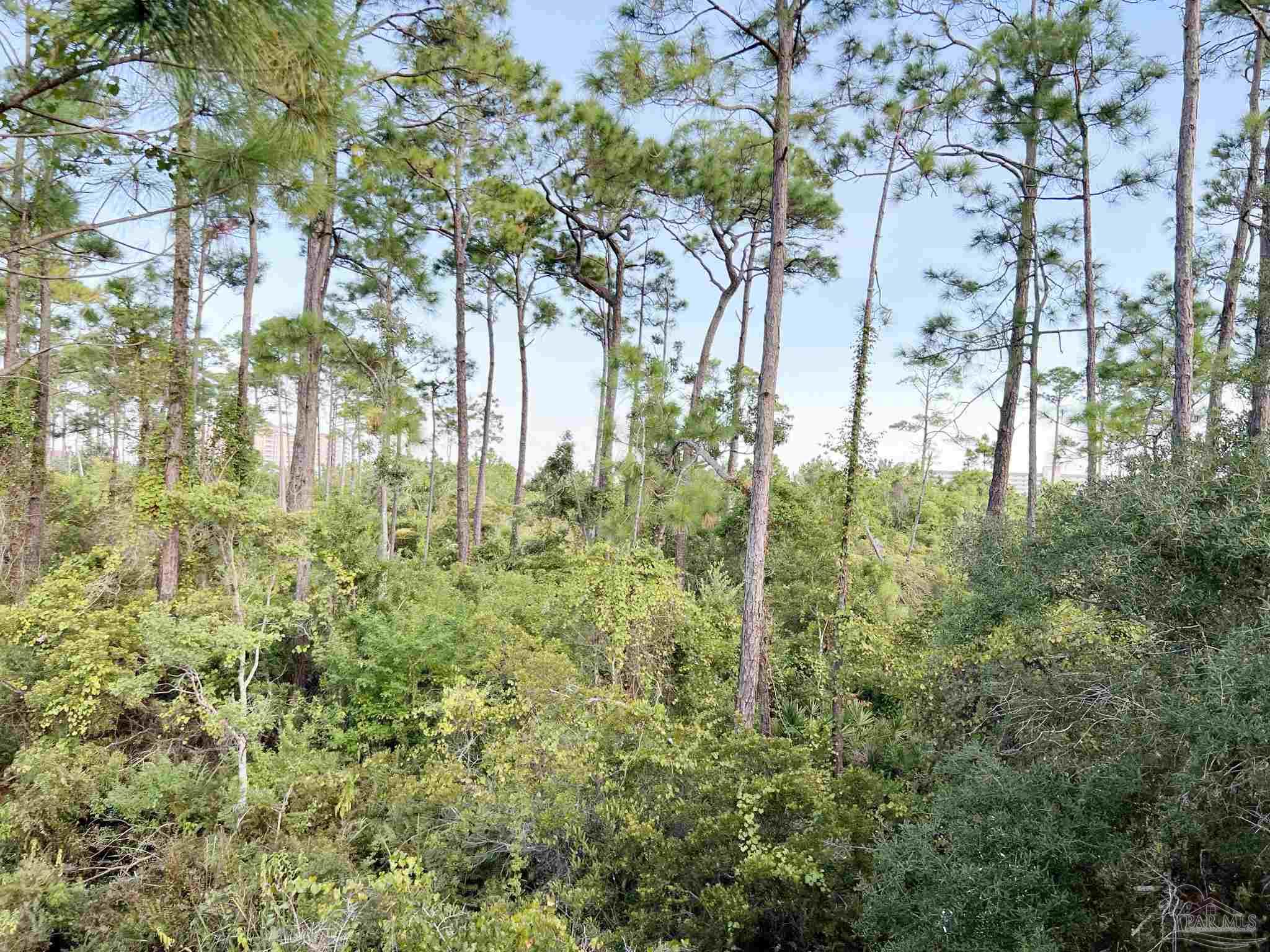 13555 Perdido Key Drive # C10 Perdido Key FL 32507