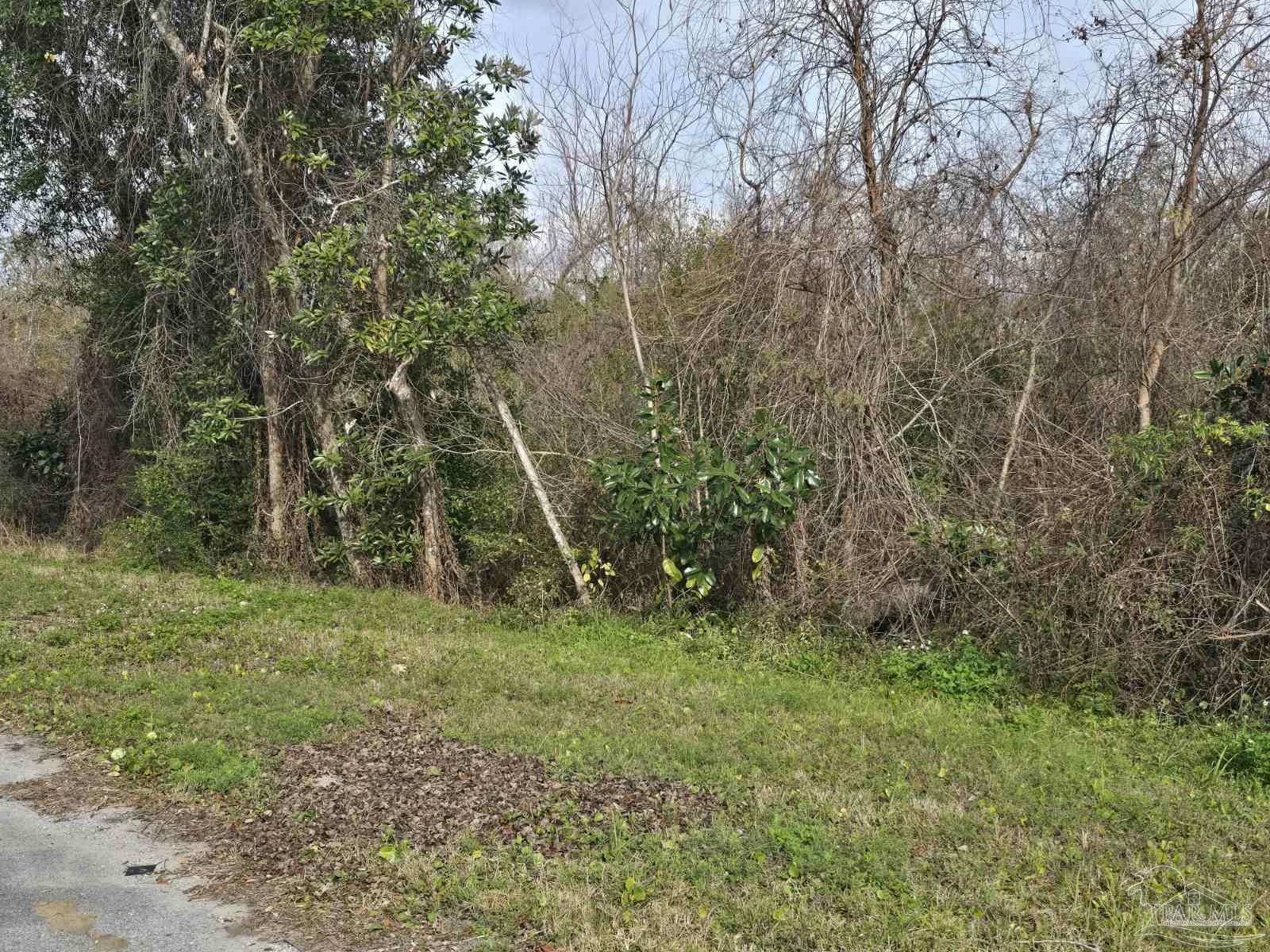 1511 Montana Drive Lynn Haven FL 32444