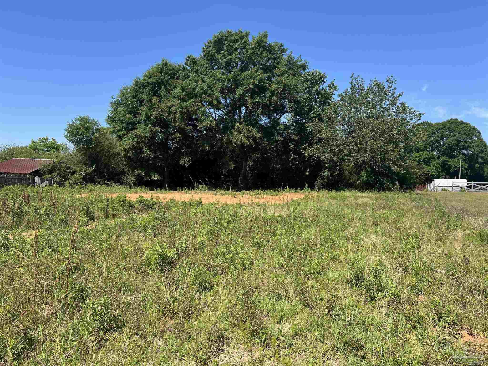 5431 Highway 99 Century FL 32535