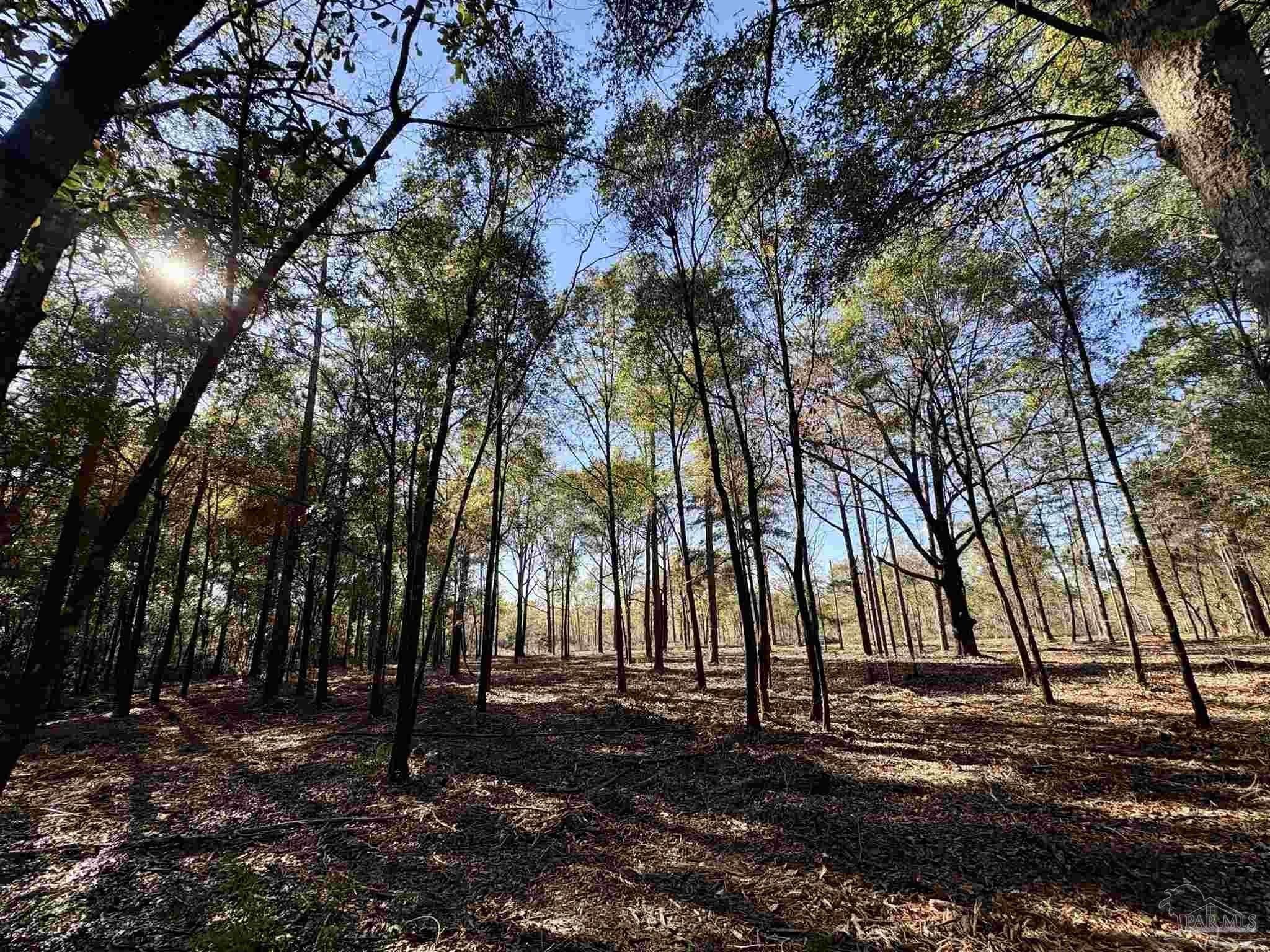 Adams Road Crestview FL 32536