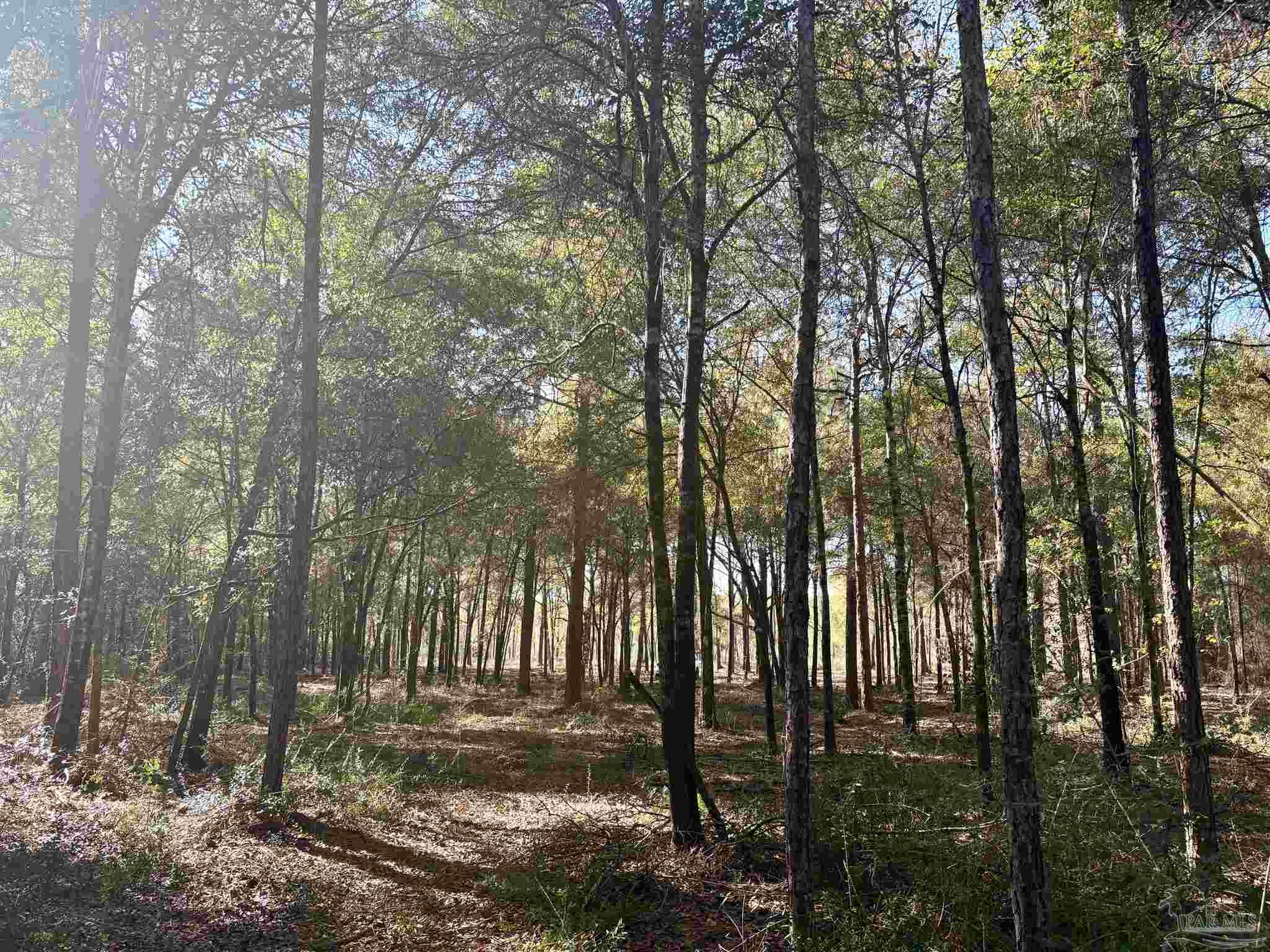 Adams Road Crestview FL 32536