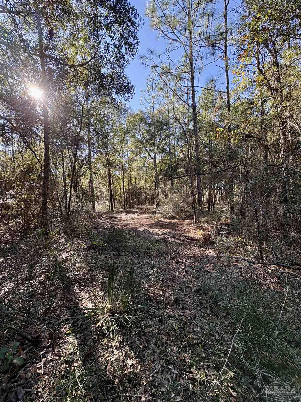 Adams Road Crestview FL 32536