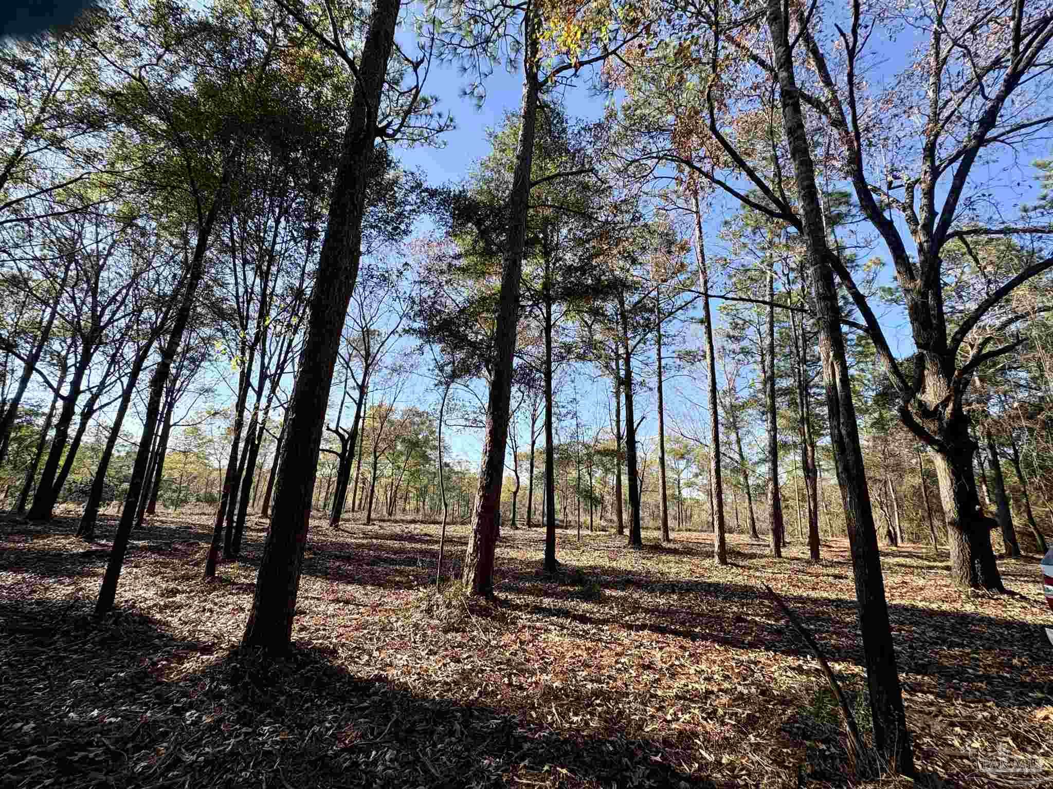 Adams Road Crestview FL 32536