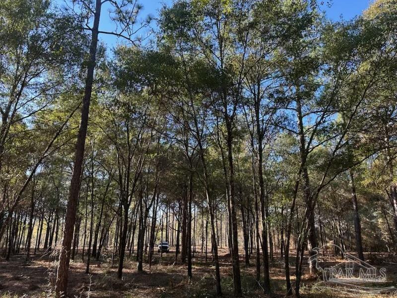 Adams Road Crestview FL 32536