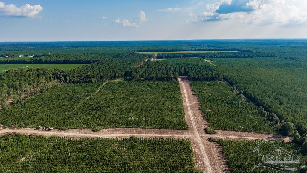 Lot 92 Posie Forest Road Milton FL 32570