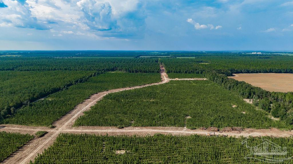 Lot 92 Posie Forest Road Milton FL 32570