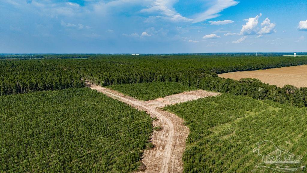 Lot 92 Posie Forest Road Milton FL 32570