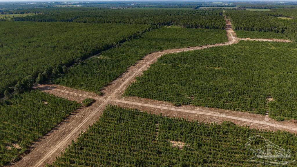 Lot 92 Posie Forest Road Milton FL 32570
