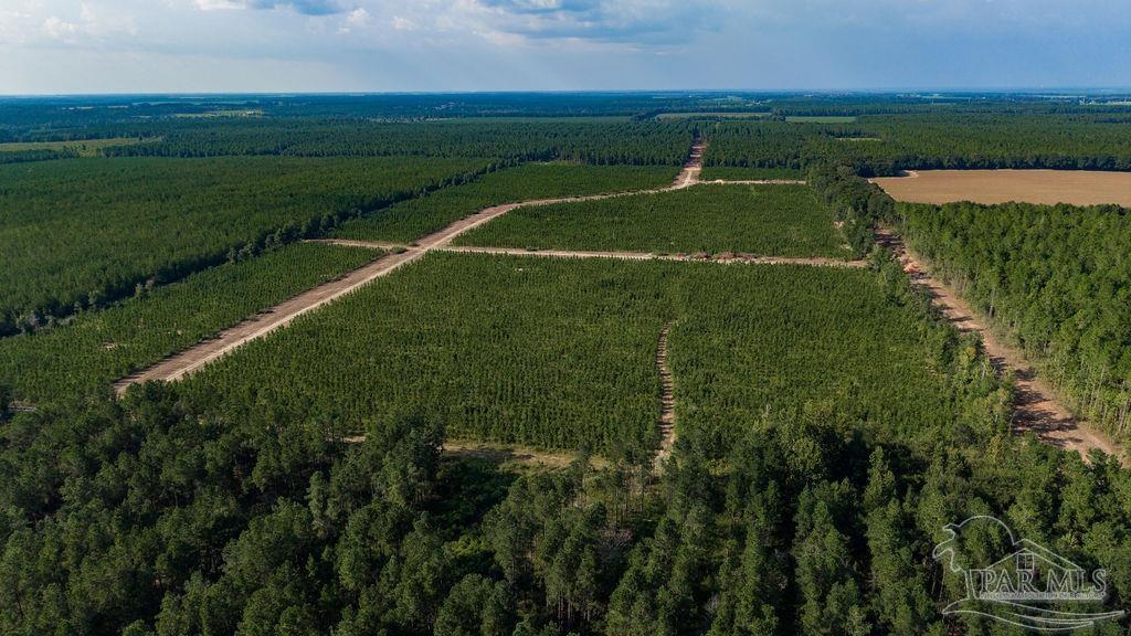 Lot 92 Posie Forest Road Milton FL 32570