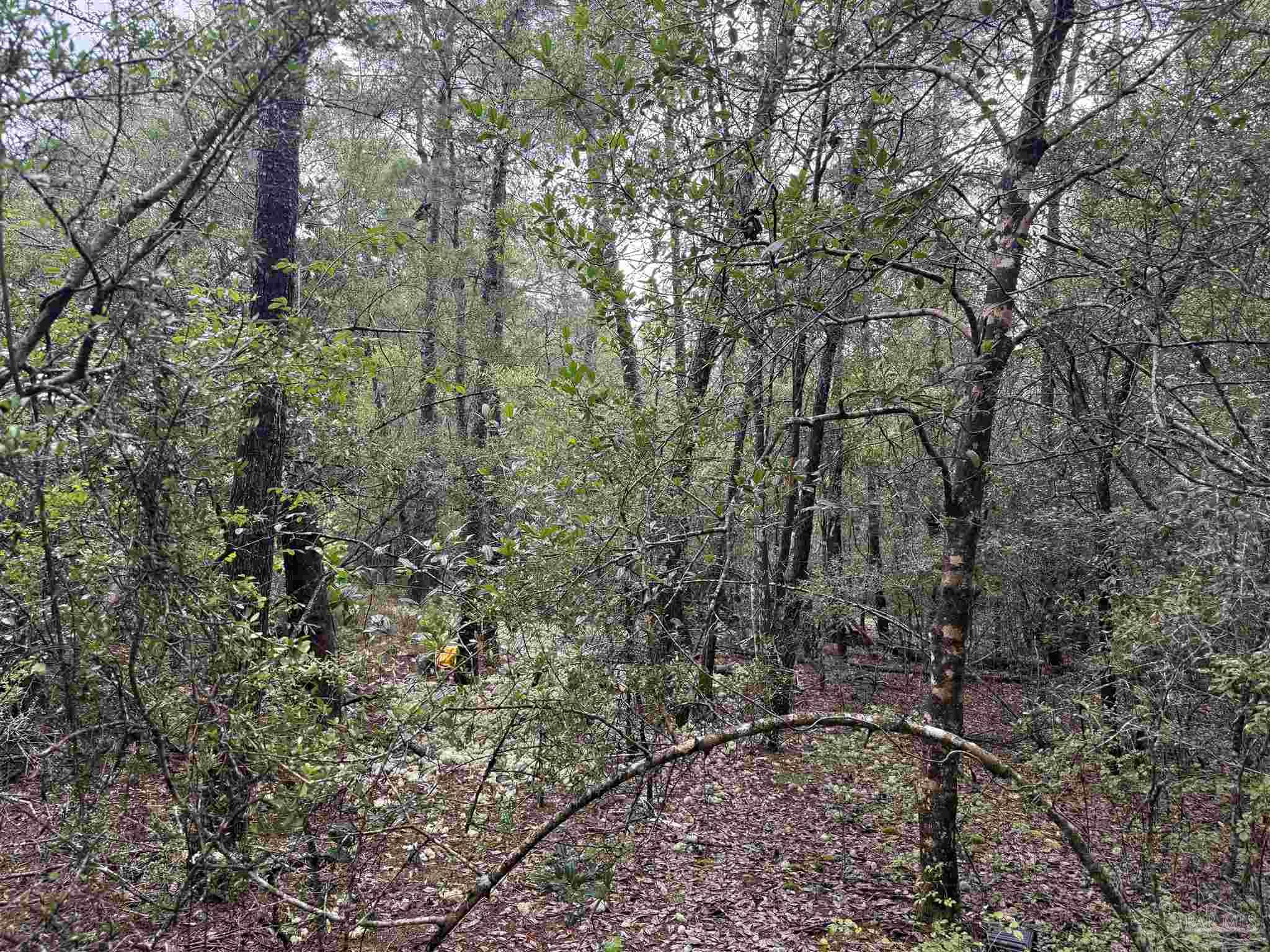 0 Kervin Road Crestview FL 32539