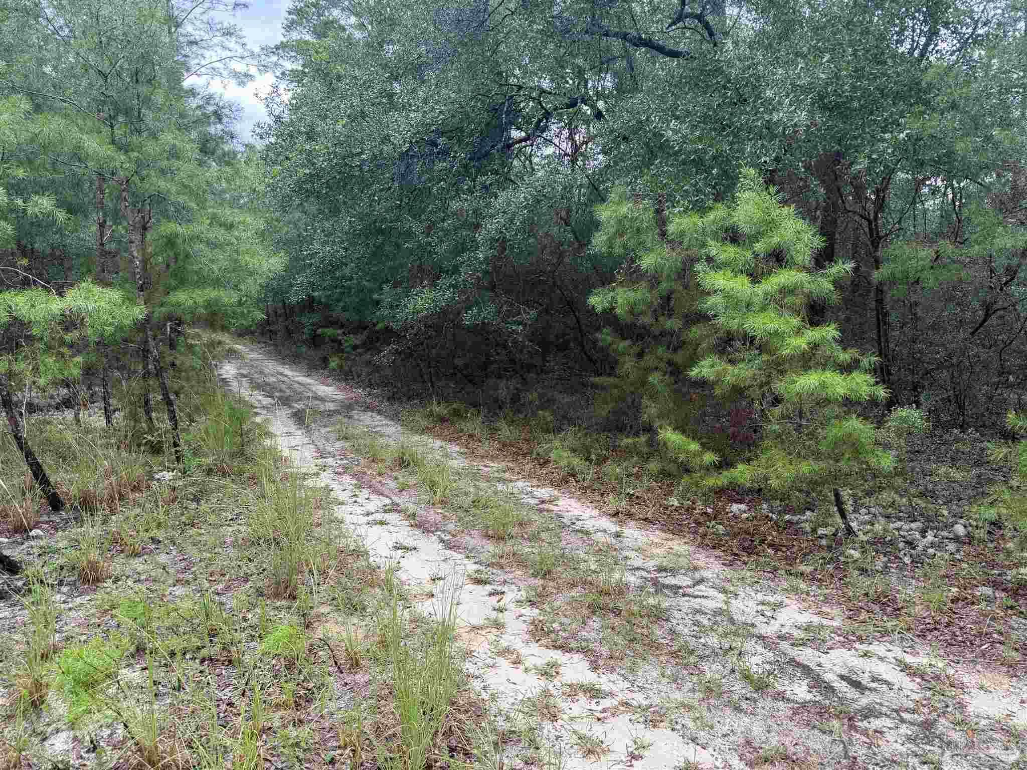 0 Kervin Road Crestview FL 32539