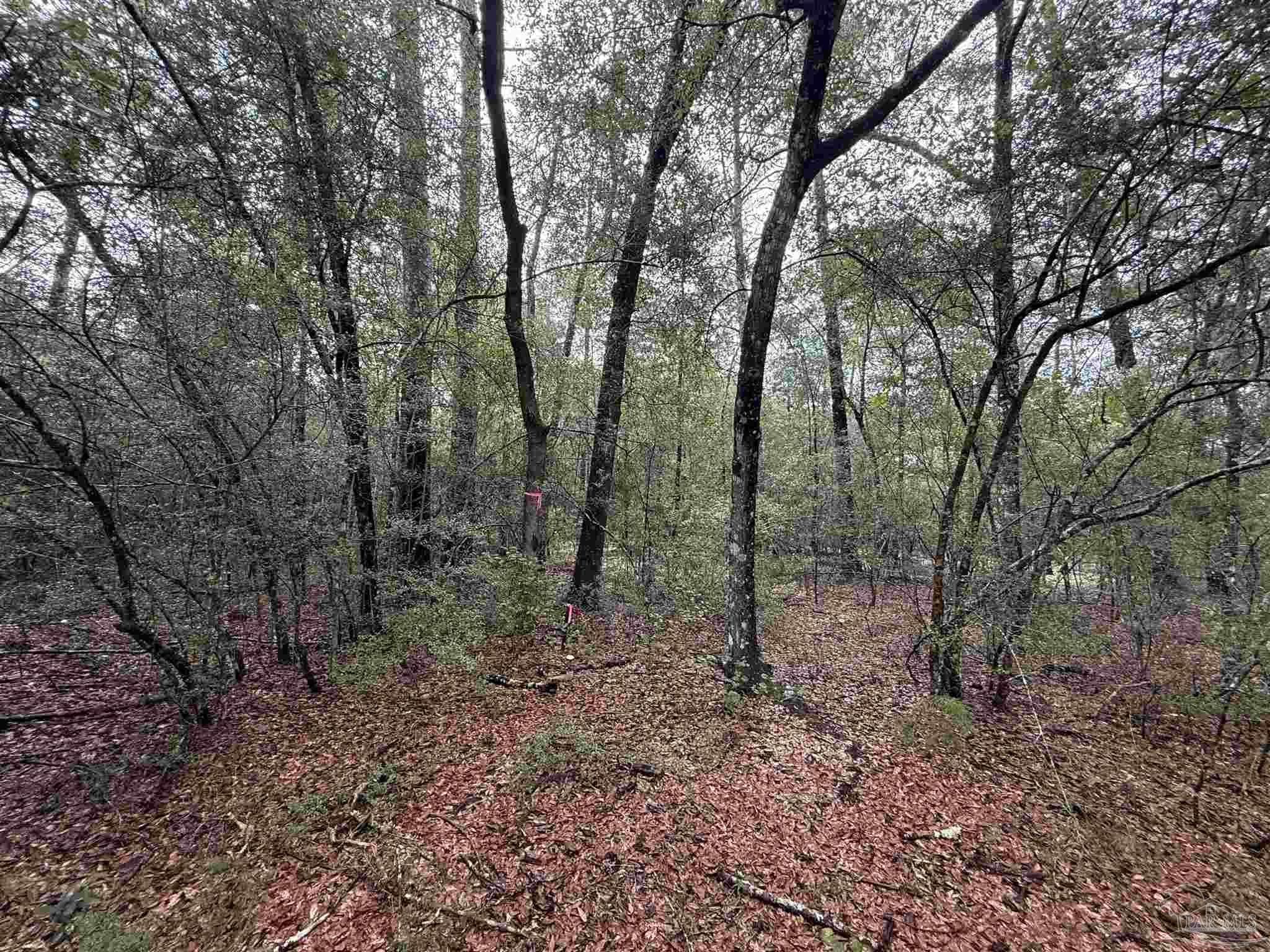 0 Kervin Road Crestview FL 32539