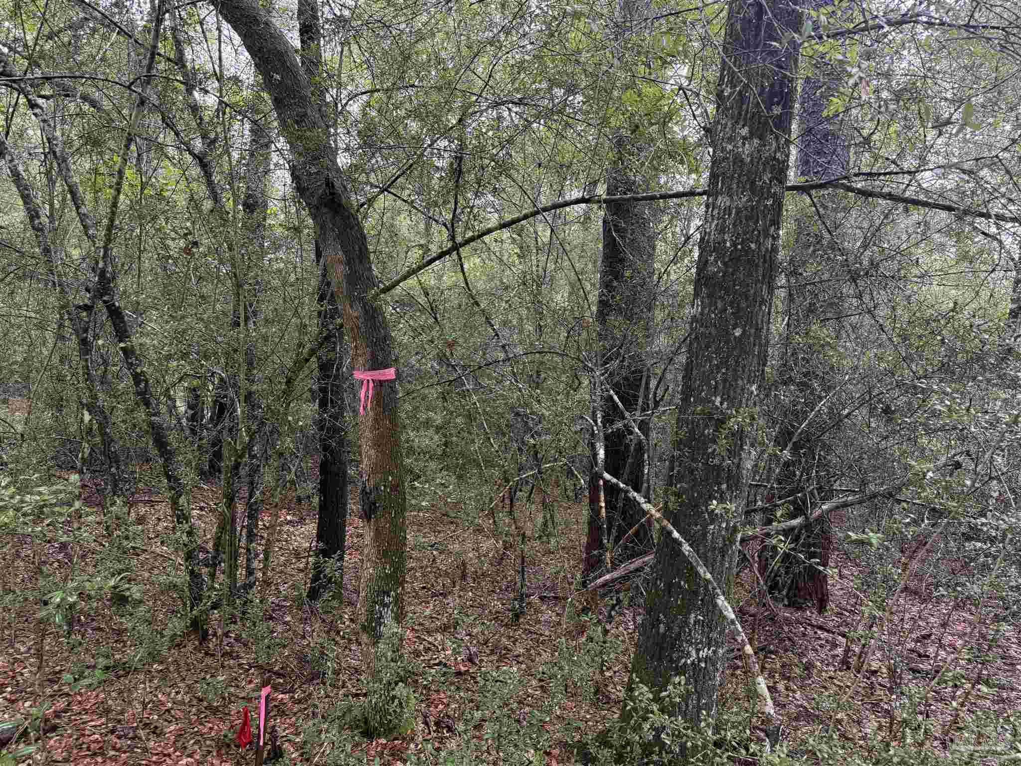 0 Kervin Road Crestview FL 32539