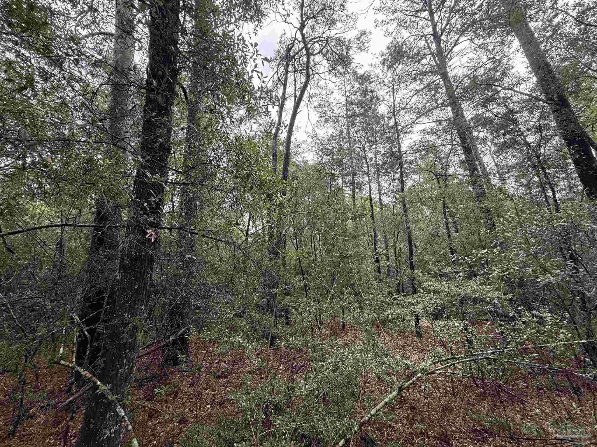 0 Kervin Road Crestview FL 32539