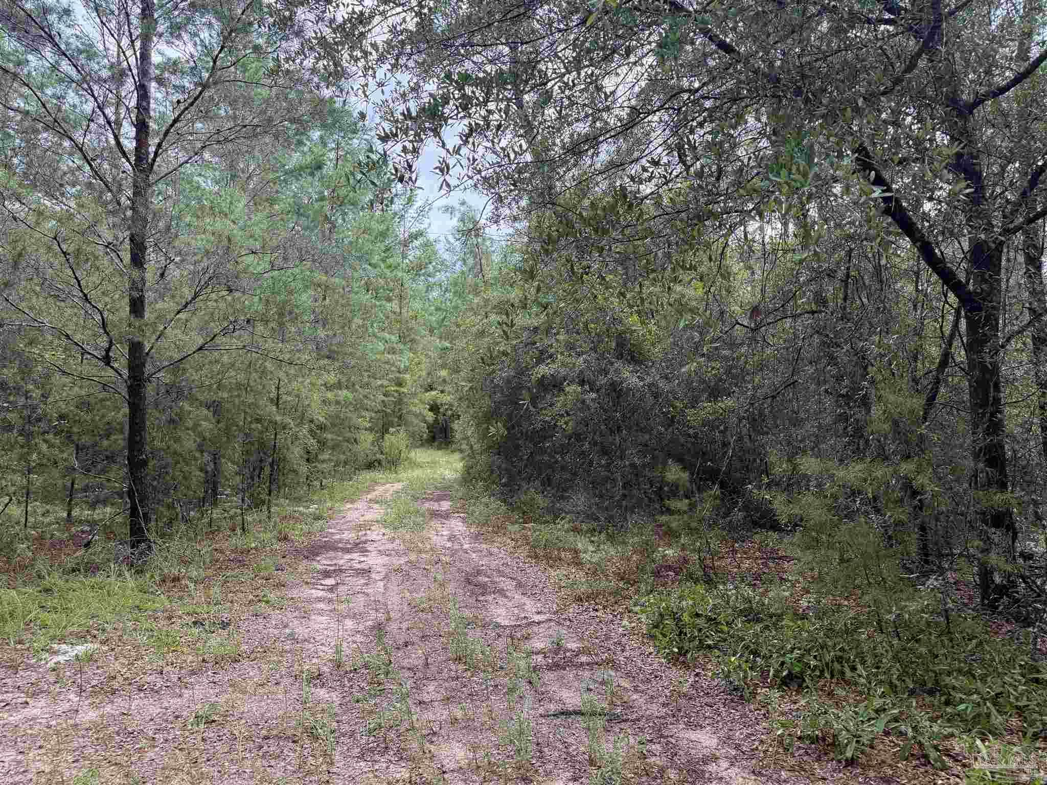 0 Kervin Road Crestview FL 32539