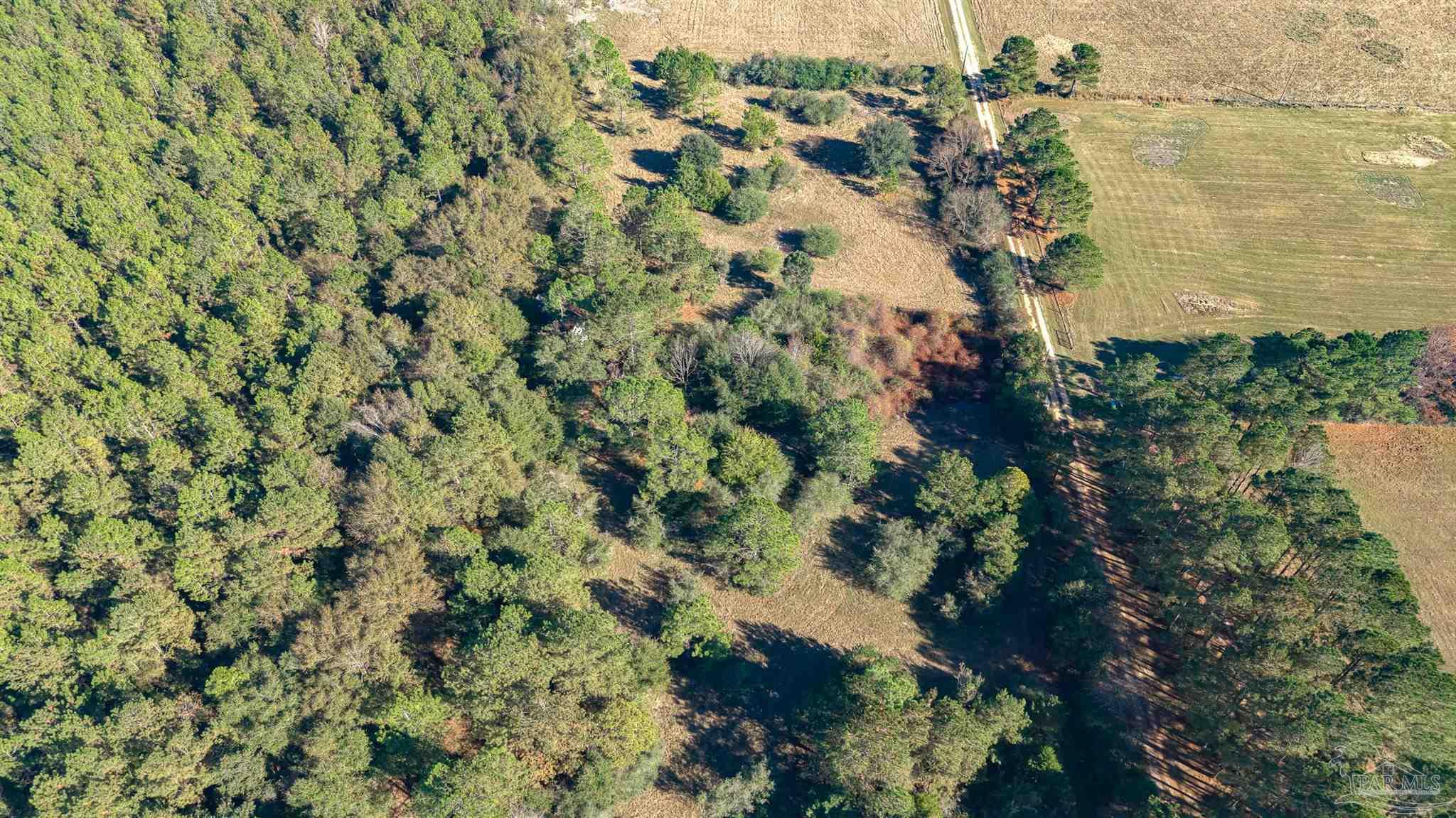1756 Jacks Branch Road Cantonment FL 32533