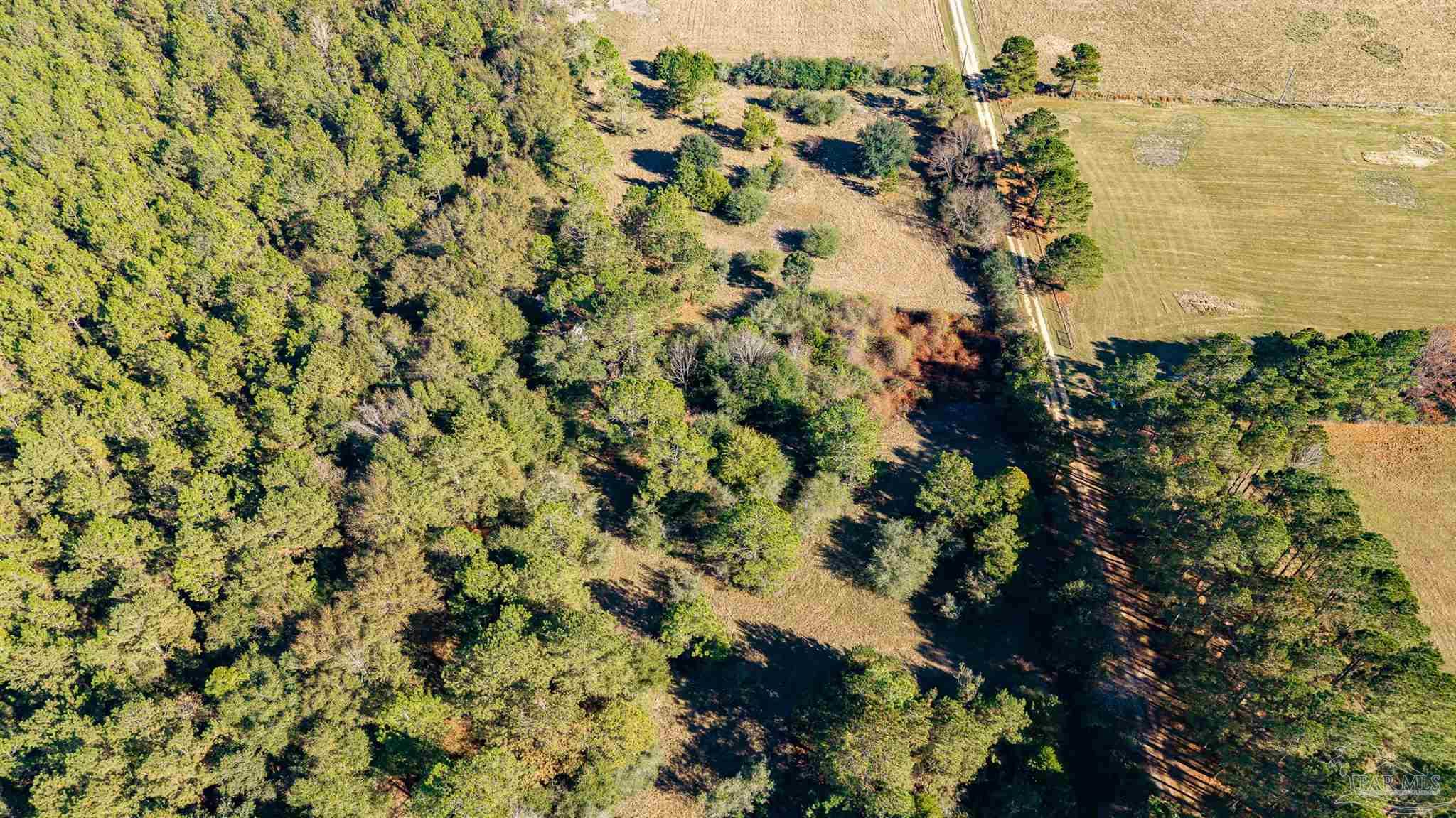 1756 Jacks Branch Road Cantonment FL 32533