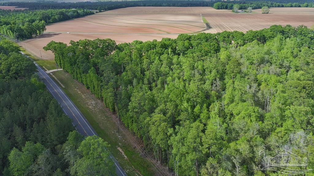 5814 Highway 4 Jay FL 32565