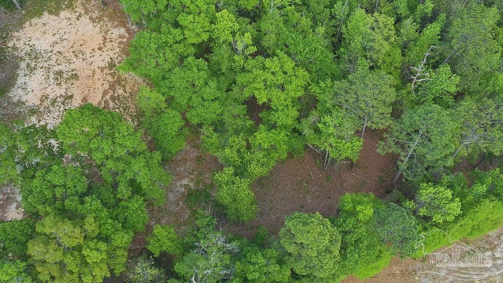 5814 Highway 4 Jay FL 32565