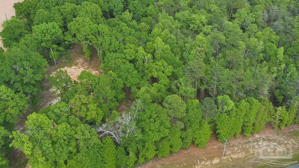 5814 Highway 4 Jay FL 32565