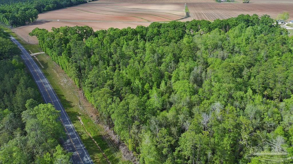 5814 Highway 4 Jay FL 32565