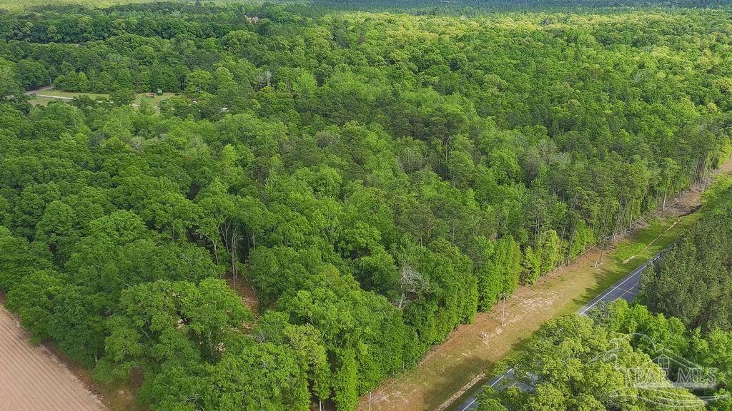 5814 Highway 4 Jay FL 32565