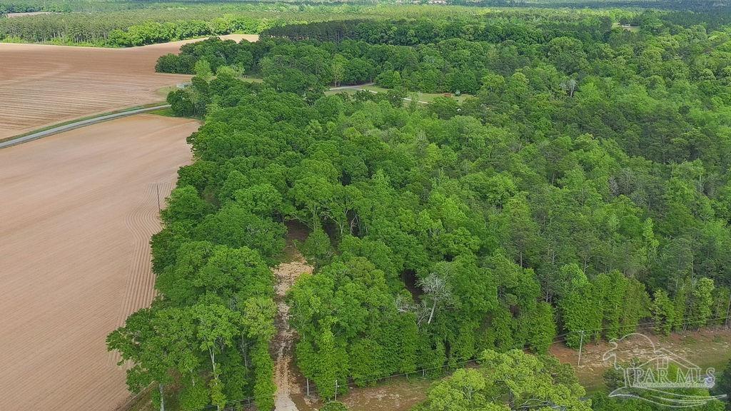 5814 Highway 4 Jay FL 32565