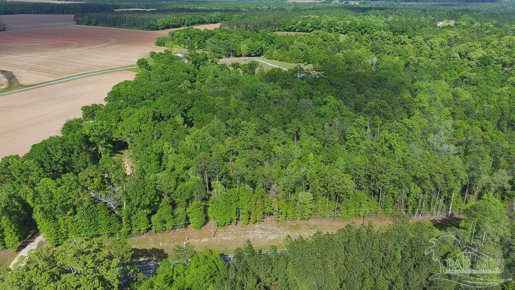 5814 Highway 4 Jay FL 32565