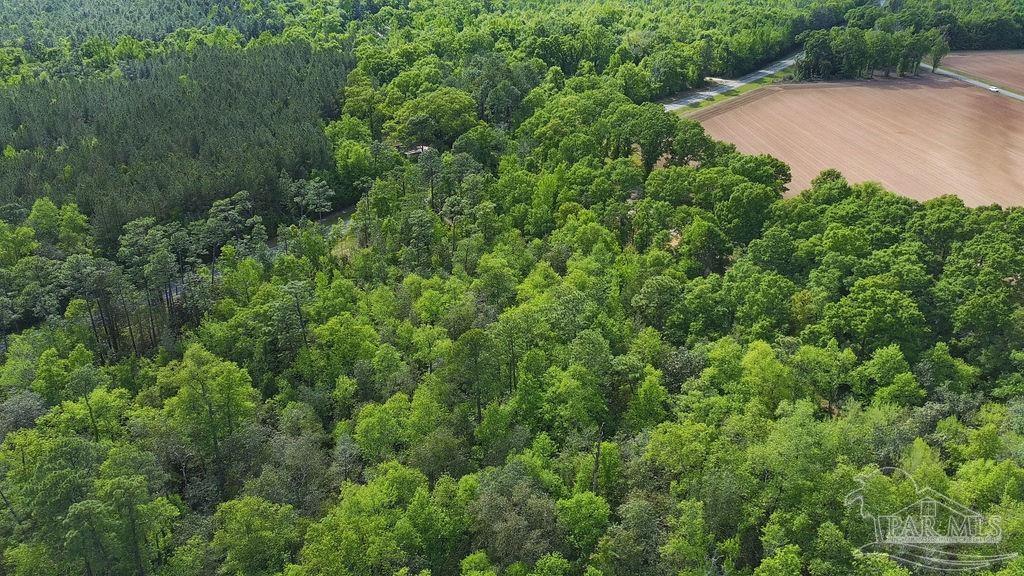 5814 Highway 4 Jay FL 32565