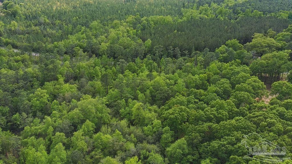 5814 Highway 4 Jay FL 32565