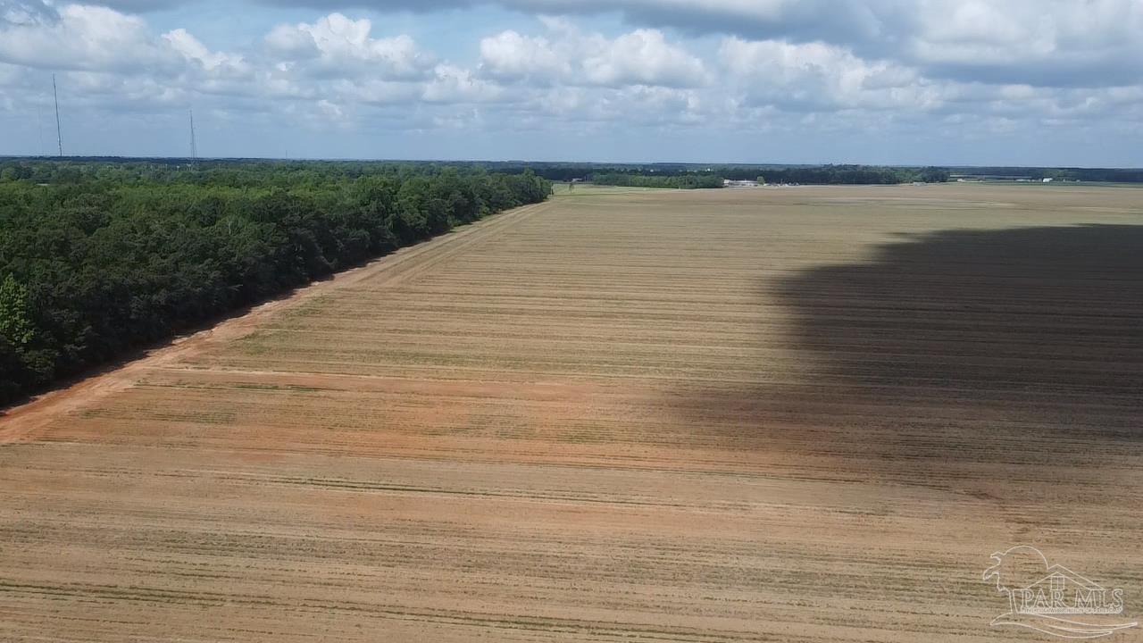 900 Block Highway 97 Molino FL 32577