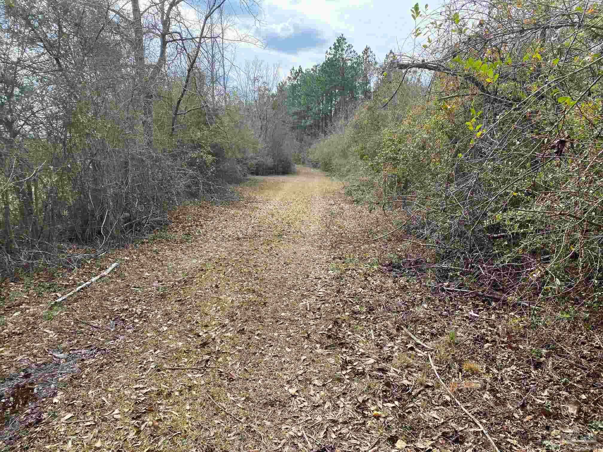 0000 Highway 4 Jay FL 32565