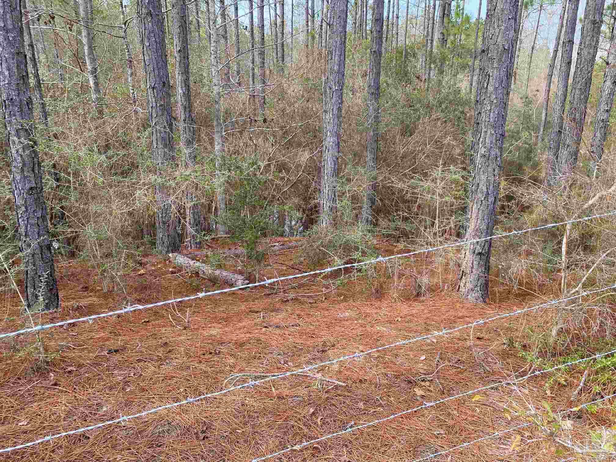 0000 Highway 4 Jay FL 32565