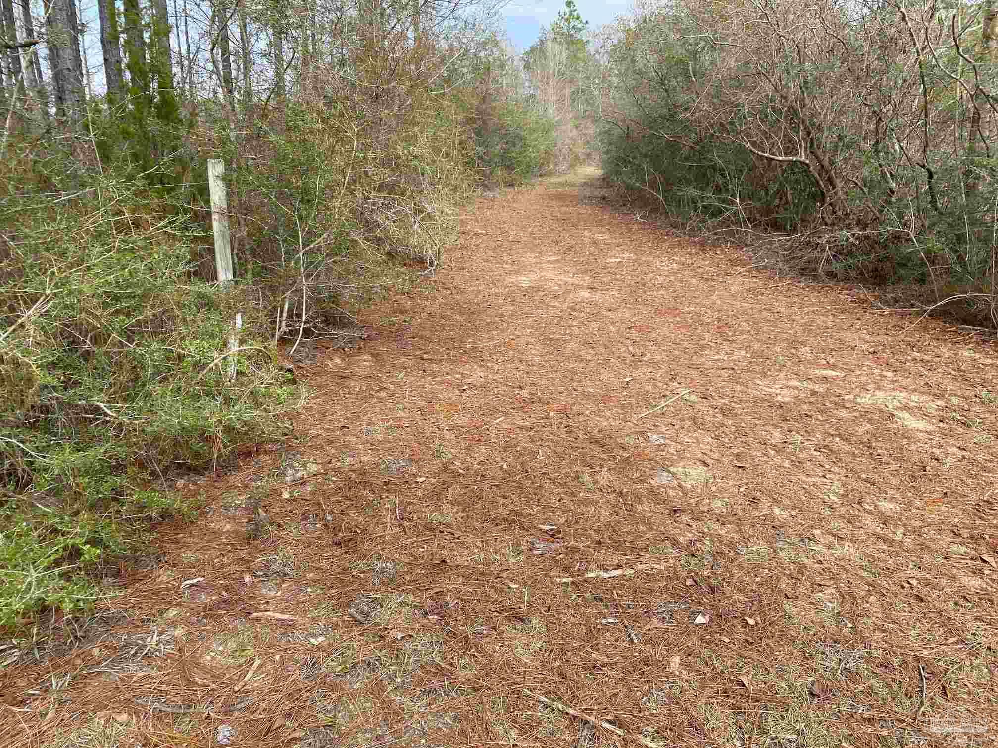 0000 Highway 4 Jay FL 32565