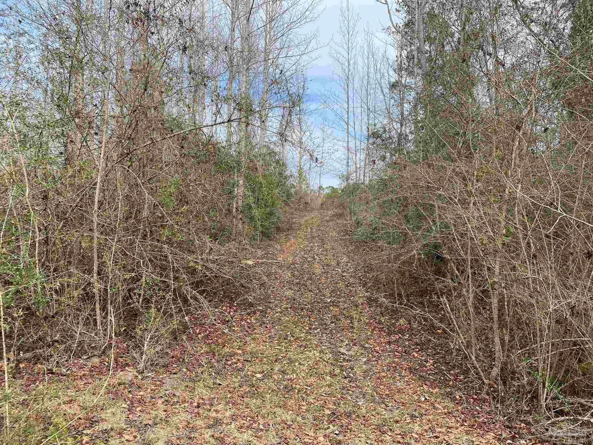 0000 Highway 4 Jay FL 32565