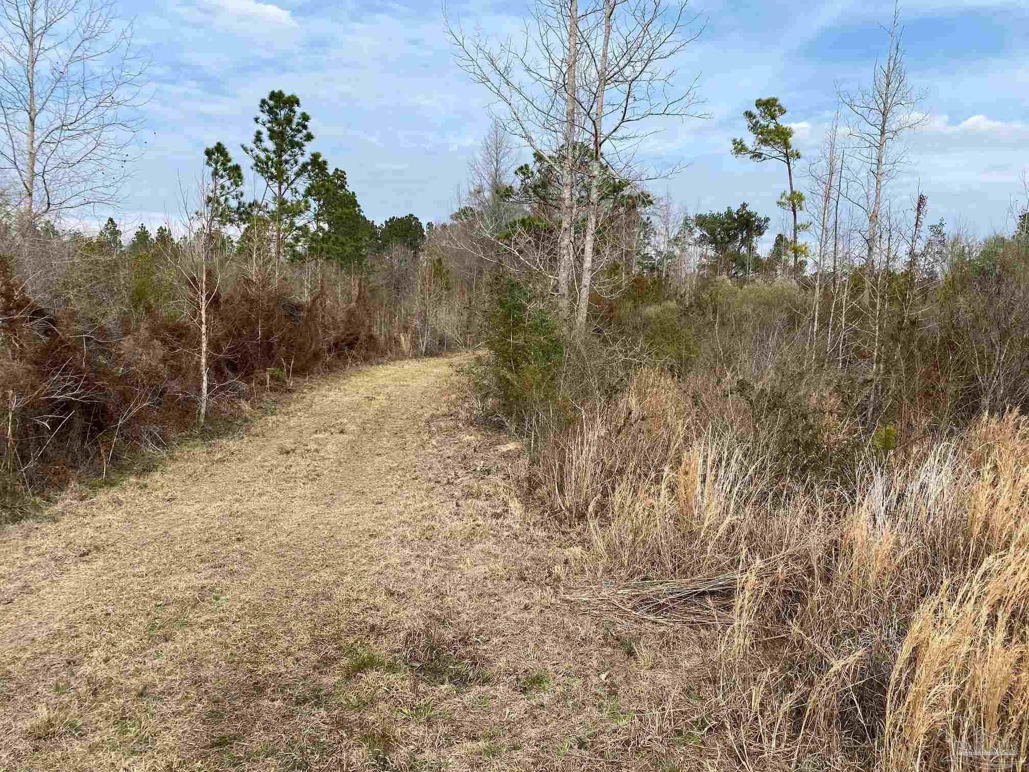 0000 Highway 4 Jay FL 32565