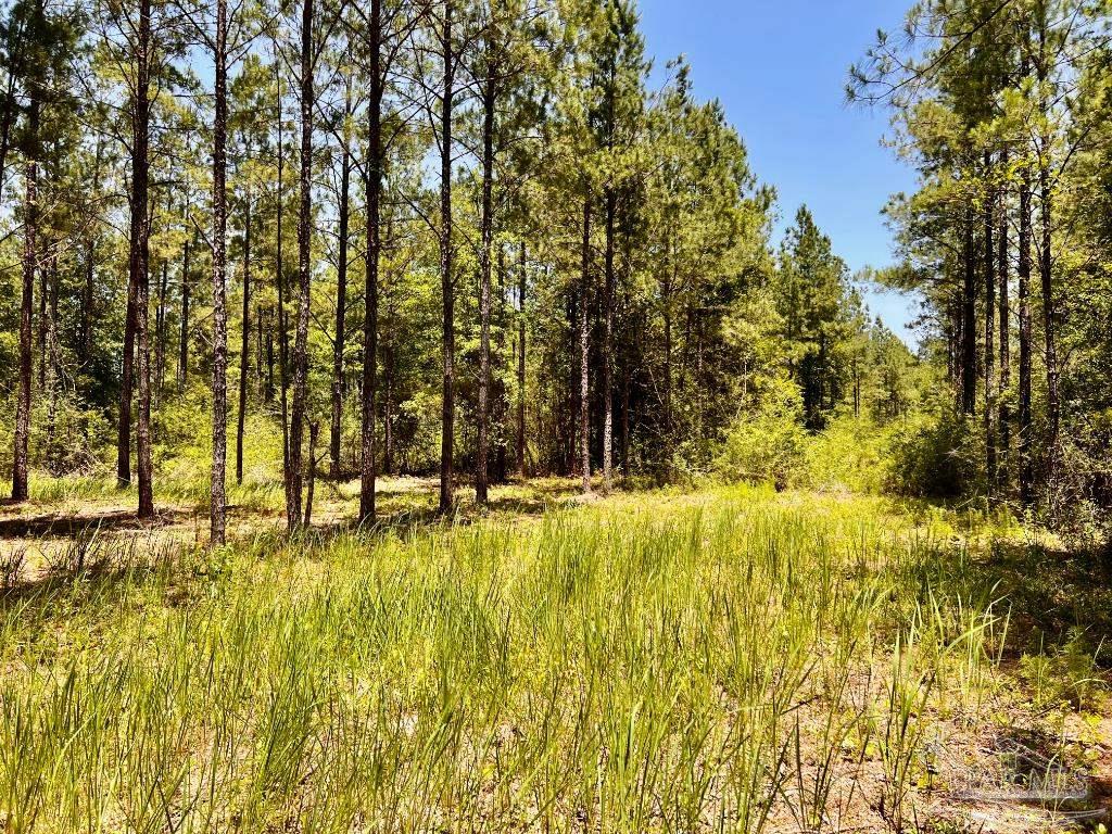 Lot 73 Naturewalk Drive Jay FL 32565