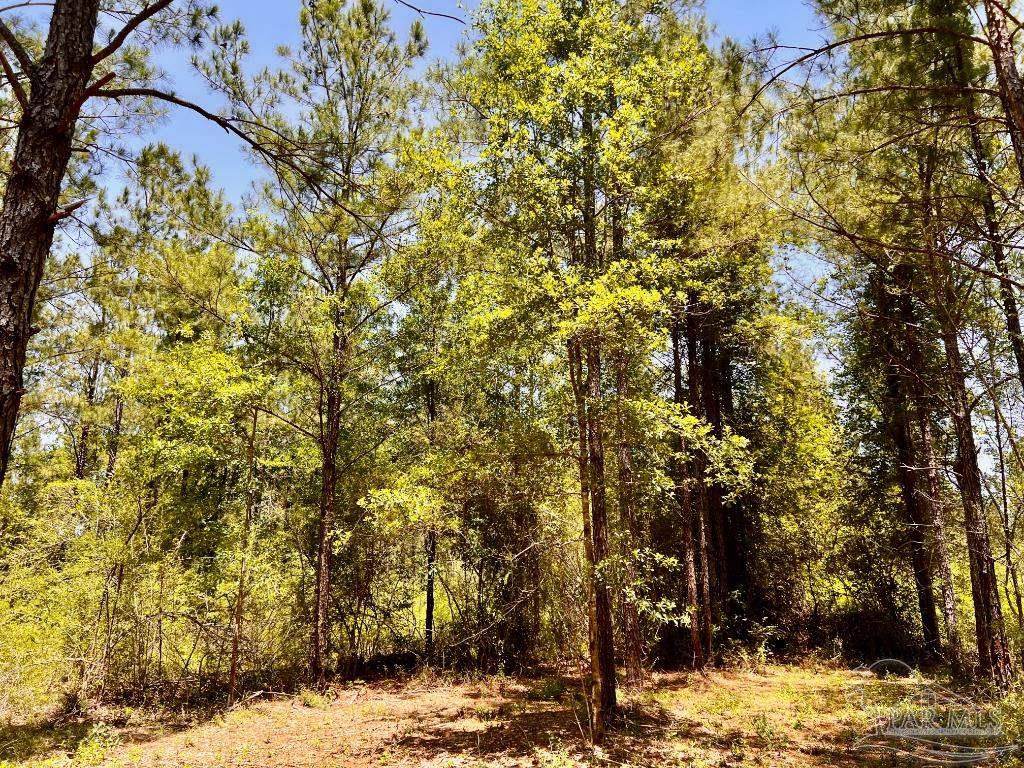 Lot 73 Naturewalk Drive Jay FL 32565