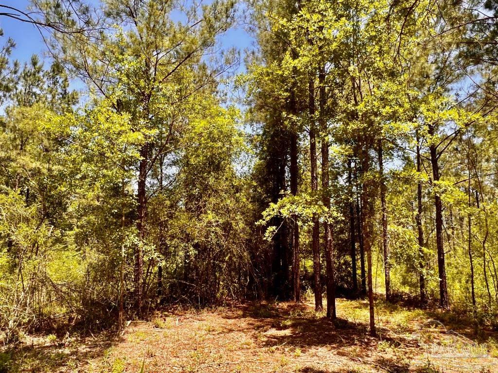 Lot 73 Naturewalk Drive Jay FL 32565