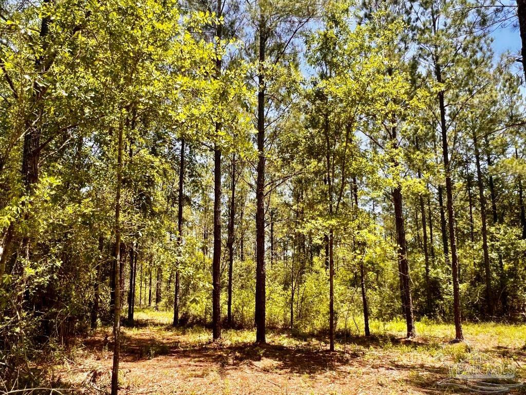Lot 73 Naturewalk Drive Jay FL 32565