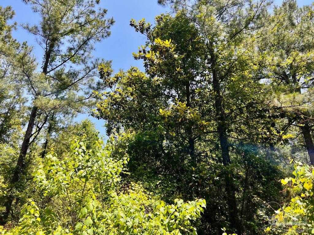 Lot 73 Naturewalk Drive Jay FL 32565