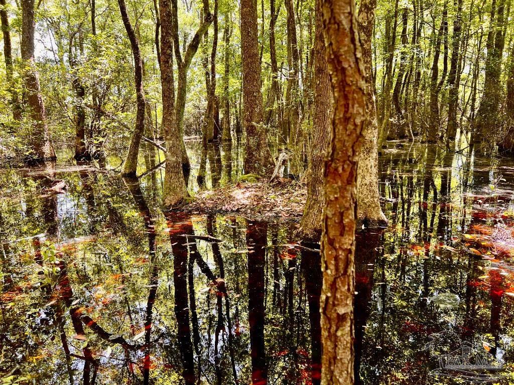 Lot 73 Naturewalk Drive Jay FL 32565