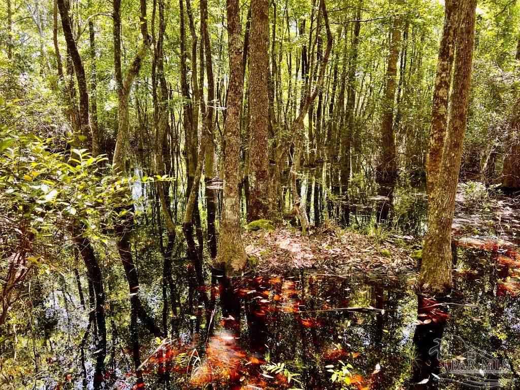 Lot 73 Naturewalk Drive Jay FL 32565